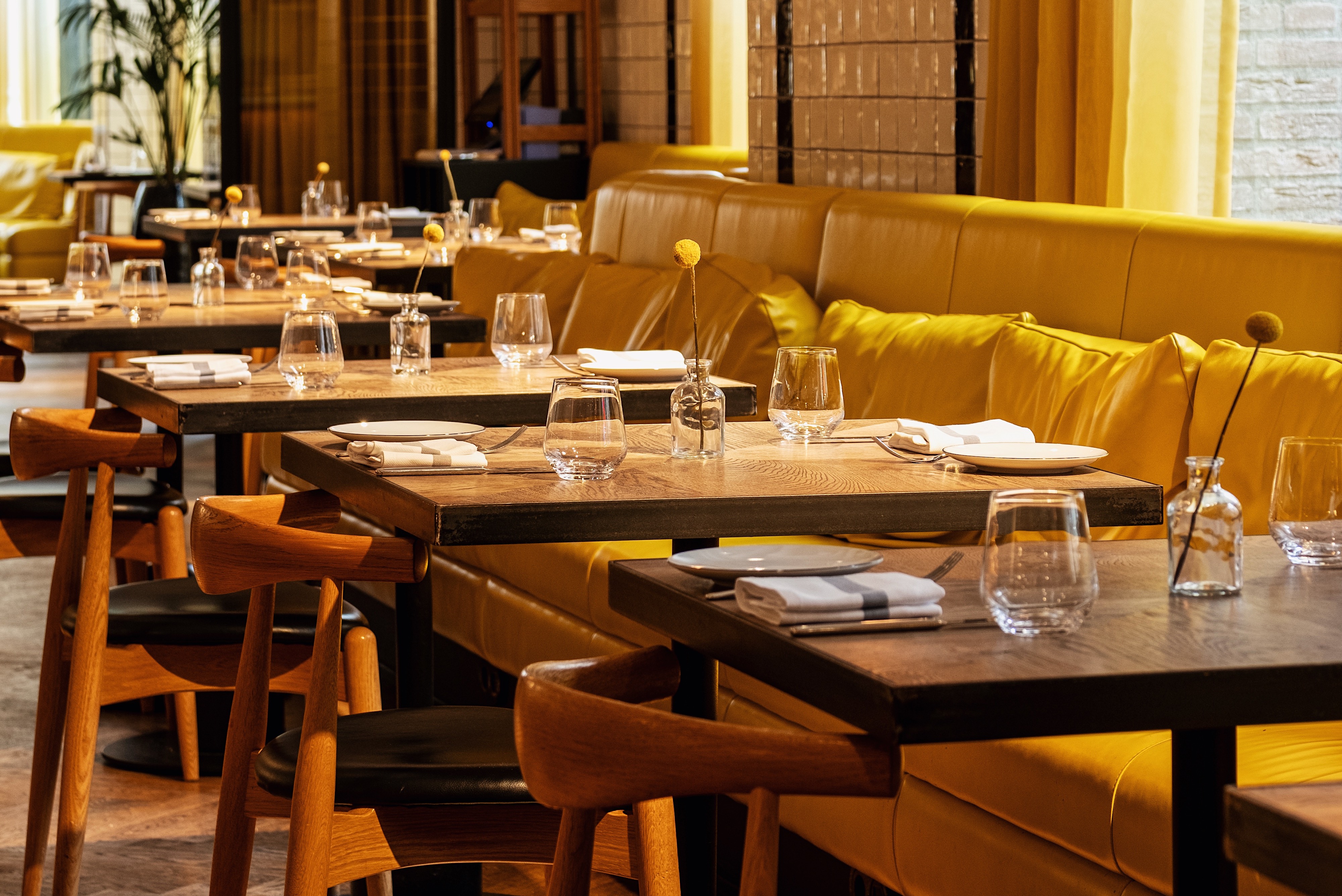 A spacious dining area with multiple tables, yellow cushions, wooden furniture and natural light at Celia.